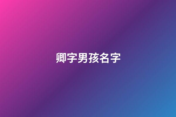 卿字男孩名字(卿字男孩名字寓意)-第1張-男孩起名-玄機派