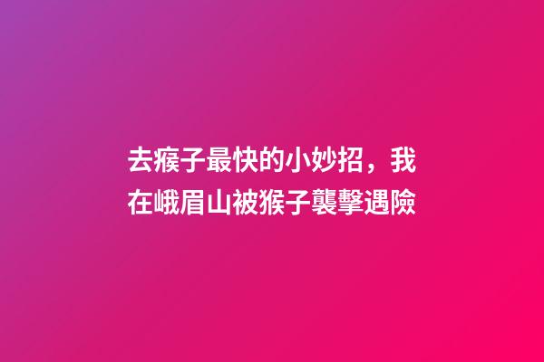 去瘊子最快的小妙招，我在峨眉山被猴子襲擊遇險-第1張-觀點-玄機派