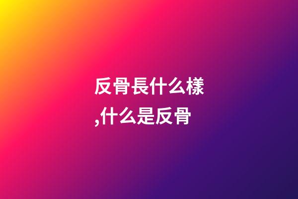 反骨長什么樣,什么是反骨