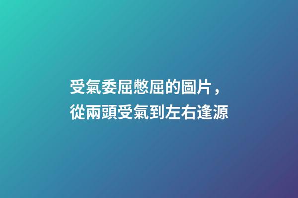 受氣委屈憋屈的圖片，從兩頭受氣到左右逢源-第1張-觀點-玄機派