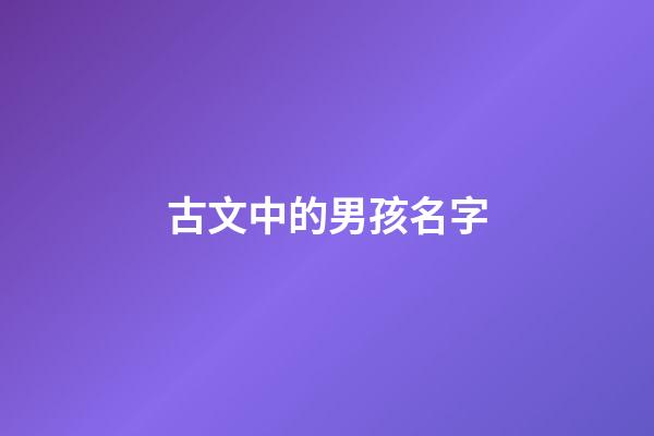 古文中的男孩名字(古文中的男孩名字大全)-第1張-男孩起名-玄機(jī)派