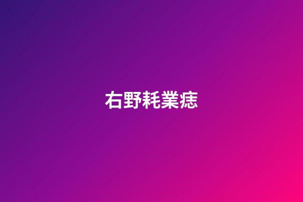 右野耗業痣