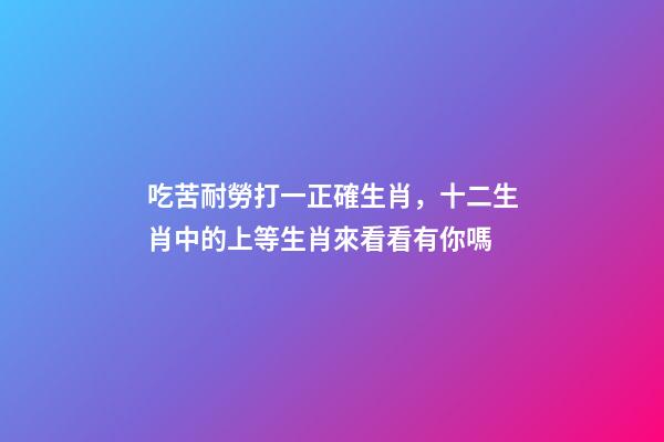 吃苦耐勞打一正確生肖，十二生肖中的上等生肖來看看有你嗎-第1張-觀點(diǎn)-玄機(jī)派