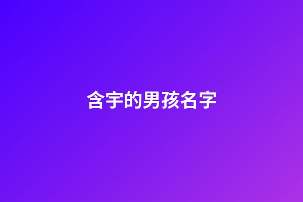 含宇的男孩名字(含宇的男孩名字大全)-第1張-男孩起名-玄機派