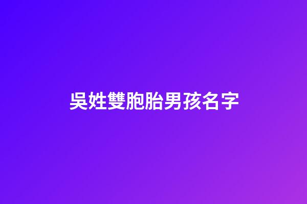 吳姓雙胞胎男孩名字(姓吳的雙胞胎)-第1張-男孩起名-玄機(jī)派