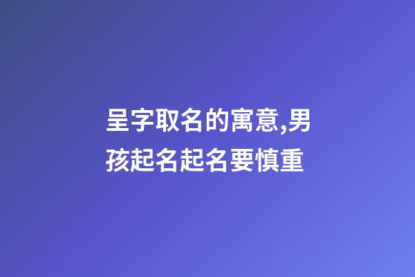 呈字取名的寓意,男孩起名起名要慎重-第1張-觀點-玄機派