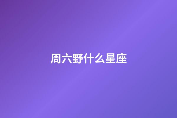 周六野什么星座-第1張-星座運(yùn)勢(shì)-玄機(jī)派