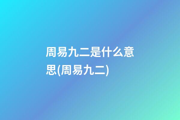 周易九二是什么意思(周易九二)