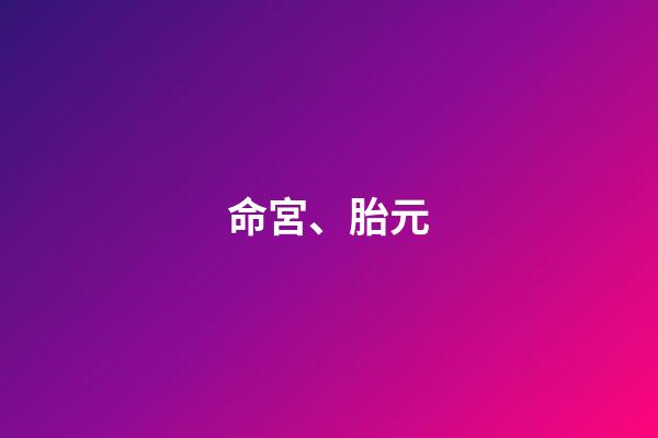 命宮、胎元