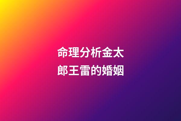 命理分析金太郎王雷的婚姻
