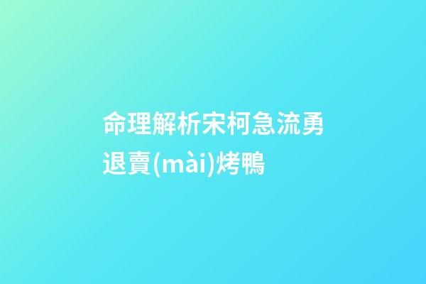 命理解析宋柯急流勇退賣(mài)烤鴨