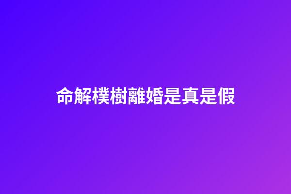 命解樸樹離婚是真是假