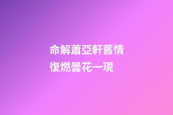 命解蕭亞軒舊情復燃曇花一現