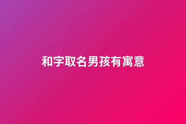 和字取名男孩有寓意(字取名男孩有寓意兔寶)-第1張-男孩起名-玄機(jī)派