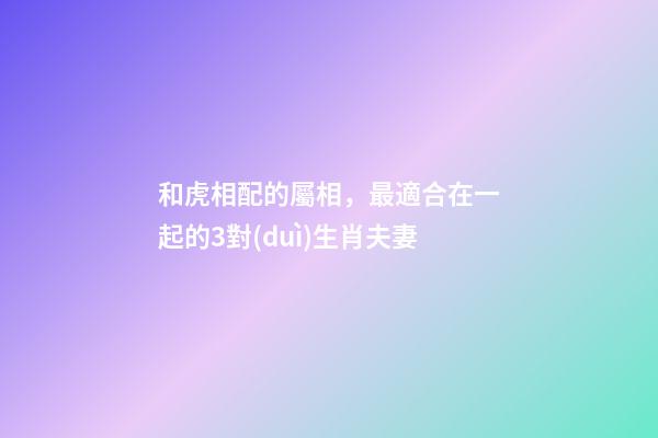 和虎相配的屬相，最適合在一起的3對(duì)生肖夫妻-第1張-觀點(diǎn)-玄機(jī)派