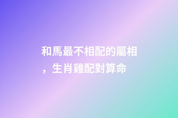 和馬最不相配的屬相，生肖雞配對算命(建議收藏)-第1張-觀點-玄機派