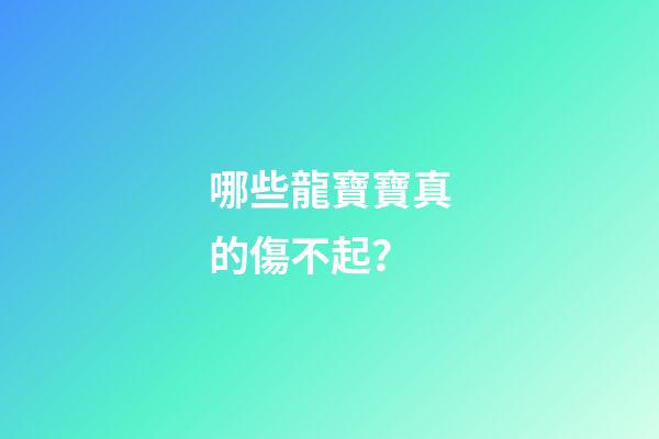 哪些龍寶寶真的傷不起？