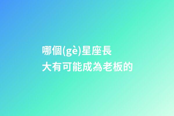 哪個(gè)星座長大有可能成為老板的-第1張-星座運(yùn)勢-玄機(jī)派