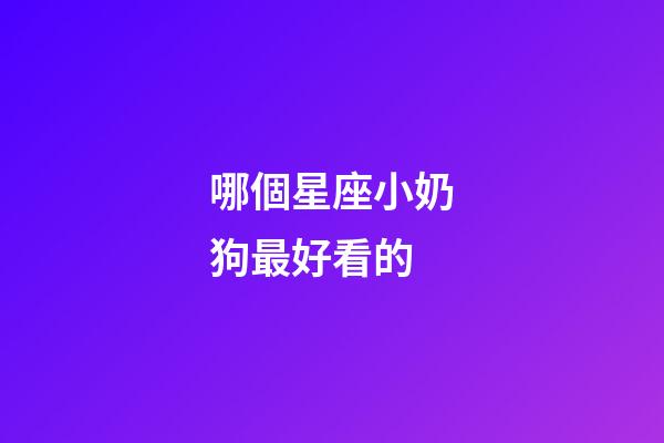 哪個星座小奶狗最好看的-第1張-星座運勢-玄機派