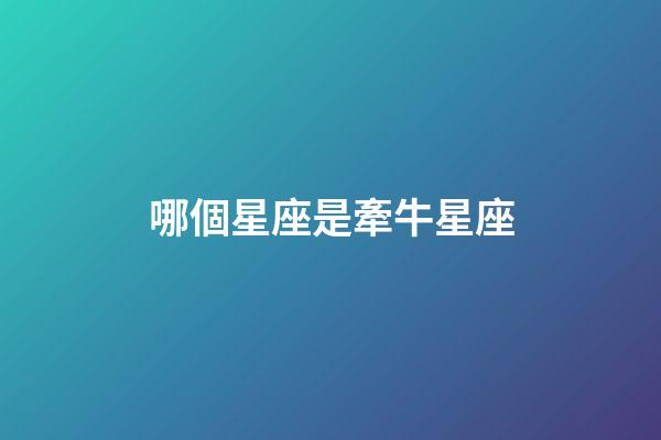 哪個星座是牽牛星座-第1張-星座運勢-玄機派