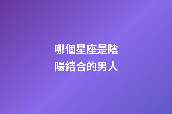 哪個星座是陰陽結合的男人-第1張-星座運勢-玄機派