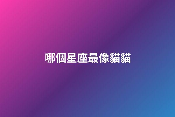 哪個星座最像貓貓-第1張-星座運勢-玄機派