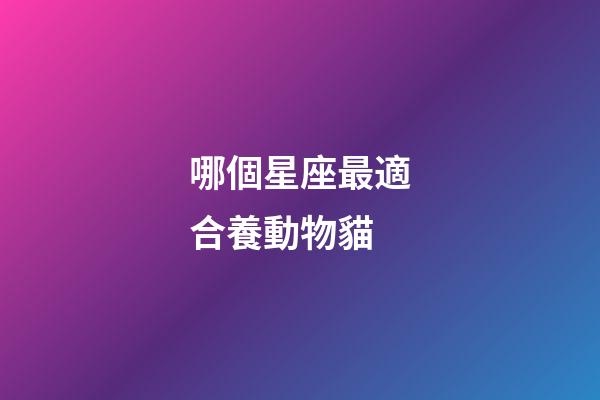 哪個星座最適合養動物貓-第1張-星座運勢-玄機派