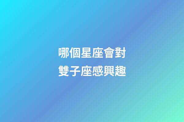 哪個星座會對雙子座感興趣-第1張-星座運勢-玄機派