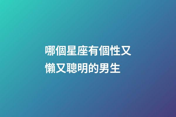 哪個星座有個性又懶又聰明的男生-第1張-星座運勢-玄機派