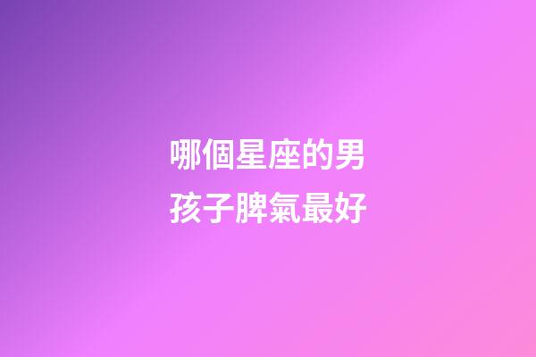 哪個星座的男孩子脾氣最好-第1張-星座運勢-玄機派
