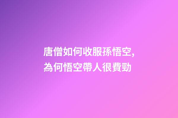 唐僧如何收服孫悟空,為何悟空帶人很費勁-第1張-觀點-玄機(jī)派