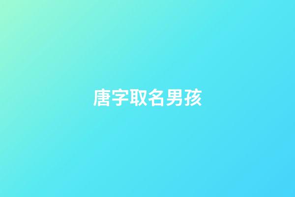 唐字取名男孩(唐字取名男孩有寓意的名字)-第1張-男孩起名-玄機派