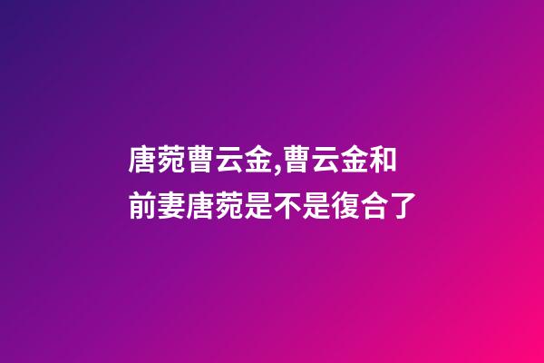 唐菀曹云金,曹云金和前妻唐菀是不是復合了-第1張-觀點-玄機派