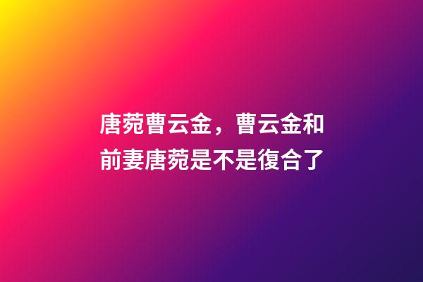 唐菀曹云金，曹云金和前妻唐菀是不是復合了-第1張-觀點-玄機派