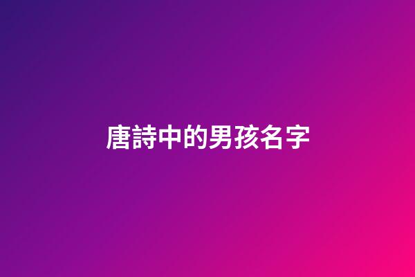 唐詩中的男孩名字(唐詩里面的男孩名字)-第1張-男孩起名-玄機派