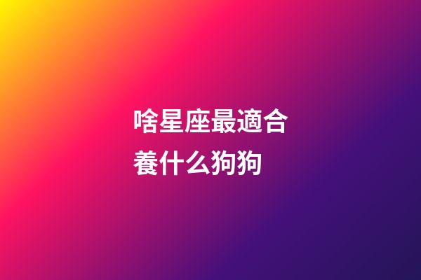 啥星座最適合養什么狗狗-第1張-星座運勢-玄機派
