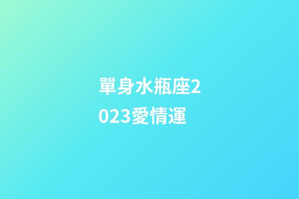單身水瓶座2023愛情運-第1張-星座運勢-玄機派