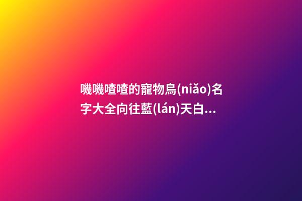 嘰嘰喳喳的寵物鳥(niǎo)名字大全向往藍(lán)天白云