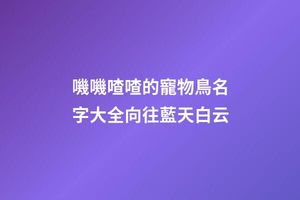 嘰嘰喳喳的寵物鳥名字大全向往藍天白云