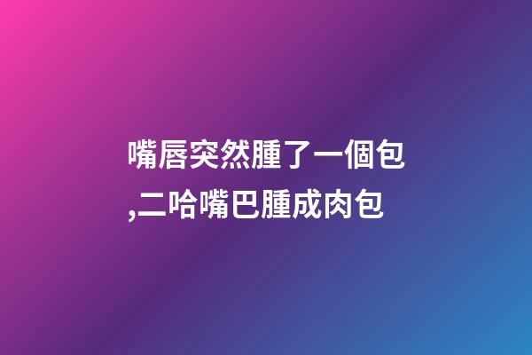 嘴唇突然腫了一個包,二哈嘴巴腫成肉包-第1張-觀點-玄機派
