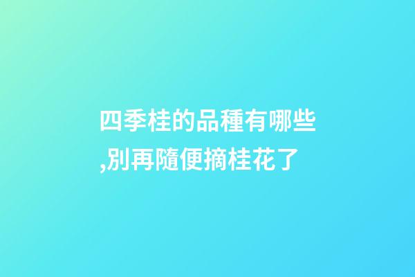 四季桂的品種有哪些,別再隨便摘桂花了-第1張-觀點-玄機派