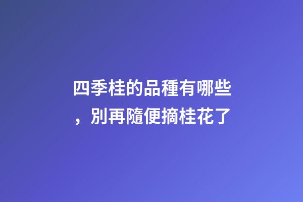 四季桂的品種有哪些，別再隨便摘桂花了-第1張-觀點-玄機派