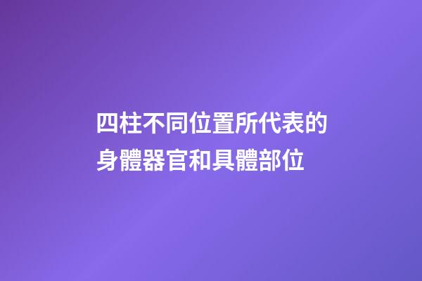 四柱不同位置所代表的身體器官和具體部位