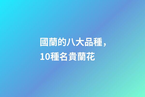 國蘭的八大品種，10種名貴蘭花-第1張-觀點-玄機派