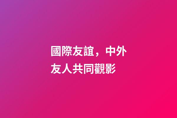 國際友誼，中外友人共同觀影-第1張-觀點-玄機派