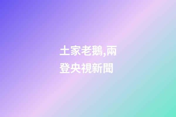 土家老鵝,兩登央視新聞-第1張-觀點-玄機派