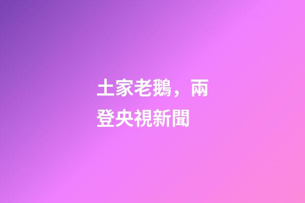 土家老鵝，兩登央視新聞-第1張-觀點-玄機派