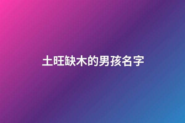 土旺缺木的男孩名字(屬土缺木的名字男孩)-第1張-男孩起名-玄機派
