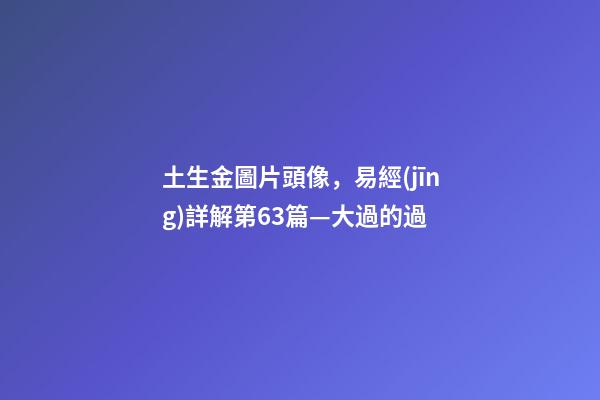 土生金圖片頭像，易經(jīng)詳解第63篇—大過的過