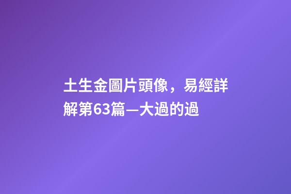 土生金圖片頭像，易經詳解第63篇—大過的過-第1張-觀點-玄機派